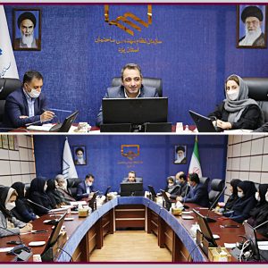 سهم قابل توجه بانوان در حوزه ساخت و ساز استان یزد