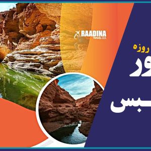 برگزاری تور یک روزه طبس