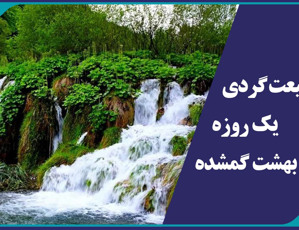 شیزار