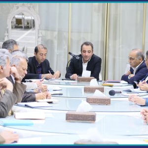 نظام مهندسی ساختمان، سازمانی فنی و اجرایی است