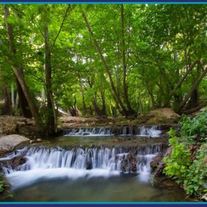 تور یک روزه بهشت گمشده
