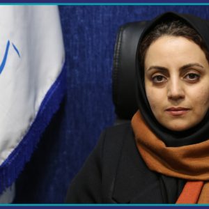 الهام اسماعیلی تفت نایب رئیس اول سازمان شد